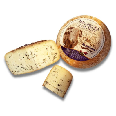 Blu di pecora del Lago