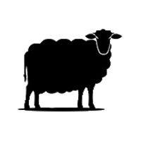 Sery z owczego mleka